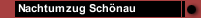 Nachtumzug Sch&ouml;nau